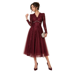 Robe de soirée élégante à col en V en dentelle, longueur mi-mollet, avec manches longues et broderies, coupe trapèze, couleur unie, magnifique robe pour femmes - Product Image 1
