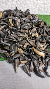 Cuernos de Shofar de Oveja 2026 de Gran Venta, Acabado Natural, Cuerno de Carnero Pulido de Alta Calidad, Shofar Religioso a Precios Económicos FAIZA CRAFT - Product Image 4