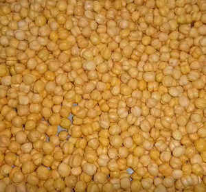Chana Tostada Natural y Convencional, Snack Seco, Alto en Proteínas, Sin Piel, Tamaño Uniforme, a Granel, 12-18 Meses de Vida Útil, Precio Bajo - Product Image 3