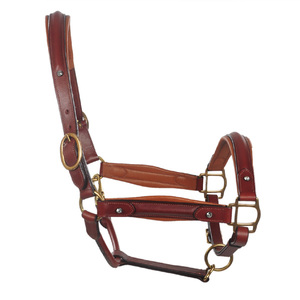 Cabestro de Cuero para Caballo con Herrajes de Latón, Color Marrón, Estilo Inglés, Equipo de Equitación - Product Image 6