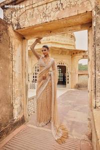 Conjunto de sari y blusa de estilo moderno con hermosa red de mariposas, lentejuelas de 5 mm y bordados, compras en línea en India. - Product Image 3