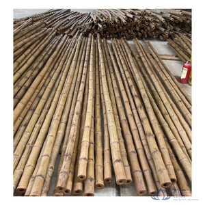 [ALTA CALIDAD] |   Varas de Bambú Crudas para Soporte de Plantas Agrícolas, Construcción y Uso Agrícola, Origen Vietnam - Product Image 1