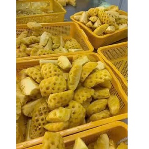 Ananas congelé en vrac du Vietnam (pour crème glacée, en tranches, en cubes, en purée) 100% naturel, cubes de haute qualité - Product Image 1