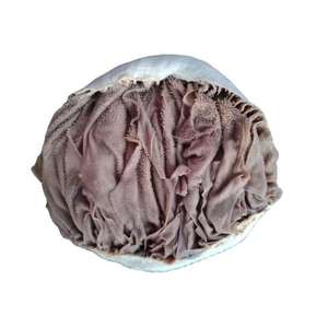 Vente en gros de viande de bœuf Omasum de qualité supérieure, viande tendre parfaite pour la cuisson et la vente au détail - Product Image 6