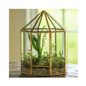 Interior Accent Metal Terrarium Glass Plant Holder Elegant Indoor Garden <b>Display</b> <b>Case</b> Home Decor - Product Image 2