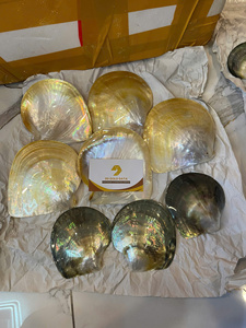 Wholesales price Premium Polished Thick Mother of Pearl Shell Material - Black Yellow Shell - Product Image 4