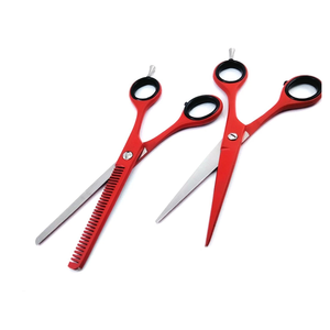 Ciseaux professionnels pour la perte de cheveux, 2 pièces, 6 pouces, ciseaux de coiffure pour salon de coiffure, instrument professionnel en acier inoxydable - Product Image 1