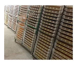 High Grade Dried Mango Pieces Vietnam Origin - Natural Fruit Snack For Retail <b>Packaging</b> - Product Image 3