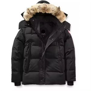STITCH LAB Parka imperméable à capuche pour homme, couleur unie, en polyester épais, manteau d'hiver avec garniture en fourrure, vêtement d'extérieur décontracté, coupe classique - Product Image 2