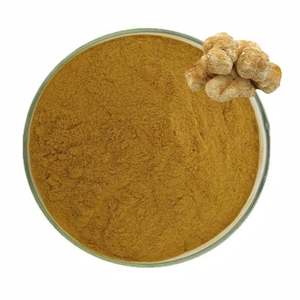Extrait de champignon Crinière de lion de qualité supérieure OEM ODM 10:1, poudre d'Hericium Erinaceus 100 % pure, en gros, provenant d'Inde - Product Image 3