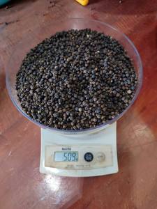 [KEITH VILACONIC] Pimienta Negra Seca de Alta Calidad, Cruda, de 5 mm |   100% Natural |   Tamaño Consistente |   para uso culinario - Product Image 5