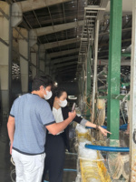 Vente en gros de latex naturel 60% DRC à haute teneur en ammoniac du Vietnam, certifié ISO 9001:2015, qualité de revêtement médical pour la lamination de colle et les applications corporelles