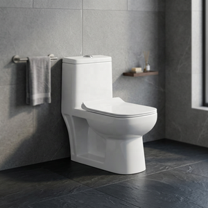 WC monobloc moderne en céramique à double chasse, à sortie verticale (S-Trap) ou horizontale (P-Trap), pour projets en pays du Golfe - Product Image 6
