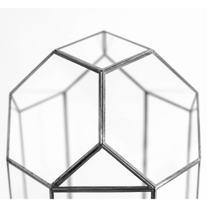 <b>Clear</b> Glass Black Metal Contemporary Handicraft Durable Framed Terrarium Planter <b>Vase</b> for Living Room Luxury Home Table Decor - Product Image 2