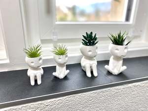 Soportes para Plantas Aéreas Kodama Tree Spirits Kooki Keera - Product Image 3