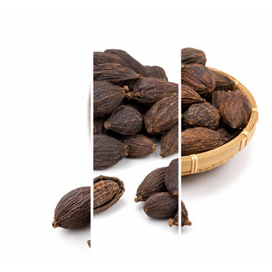 Best Selling Low Price International Standard Vietnam Manufacturer Supply Black Cardamom Bulk Supply - Product Image 4