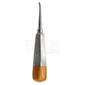 Elevador de Raíces Dental Profesional de Acero Inoxidable, Instrumento de Extracción Dental para Uso en Clínicas Dentales y Hospitales - Product Image 3