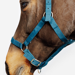 Cabestro para Caballo Transpirable de Alta Calidad, Estilo Western, Nuevo, Moderno, Cómodo y Ajustable - Product Image 2