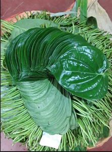Paan สีเขียวสดที่คัดสรรมาอย่างดีใช้สำหรับการทำ Paan แบบดั้งเดิม - Product Image 2