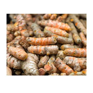 รากขมิ้นบริสุทธิ์สูงสำหรับการผลิตเครื่องเทศทางอาหาร ผลิตภัณฑ์สมุนไพร ส่วนผสมจากธรรมชาติ และจำหน่ายในปริมาณมาก - Product Image 3