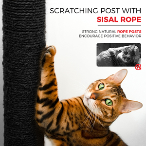 Arbre à chat interactif multi-niveaux en sisal pour chats d'intérieur, design noir et rouge, emballé en carton pour plusieurs chats - Product Image 4