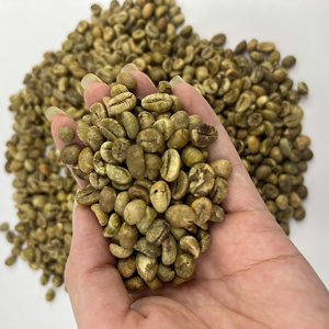 เมล็ดกาแฟโรบัสต้าคุณภาพสูง ความชื้นคงที่ เหมาะสำหรับธุรกิจส่งออกทั่วโลก - Product Image 2
