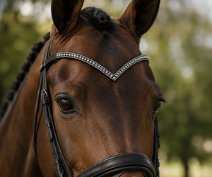 Fronture anglaise en cuir noir de qualité supérieure avec cristaux en forme de V, strass AB, taille personnalisée, emballage en boîte pour l'équitation - Product Image 1