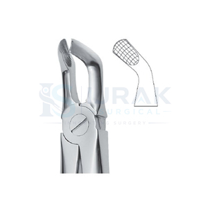 คีมถอนฟัน ฟันหน้าบน รากฟัน สแตนเลส เครื่องมือผ่าตัดแบบใช้มือ คลาส 1 - Product Image 3