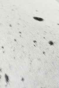 Bolso Tote de Lujo en Cuero Genuino con Pelo, Bolso de Hombro de Gran Capacidad para Mujer con Cierre de Cremallera, Hecho a Mano y Personalizable LTB-0482 - Product Image 2