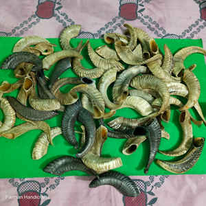 Cuerno de carnero natural tradicional para beber, hecho a mano al estilo vikingo, a precio económico. - Product Image 2