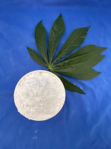 Best Quality Vietnamese Tapioca <b>Starch</b> with Best Price in Vietnam and International Market - Product Image 2