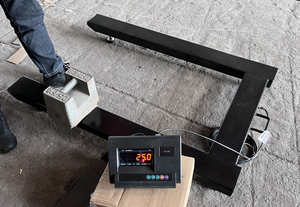 <span class=keywords><strong>U</strong></span> loại 1500 kg cân nặng chùm quy mô với LED LCD hiển thị OEM tùy chỉnh - Product Image 2