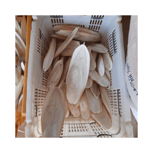 ผงกระดูกปลาหมึกแคลเซียมสูงสำหรับการเกษตร - Product Image 6
