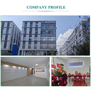 מטען סוללות ליתיום-יון XYM עמיד למים 12V-60V 6A-25A 600W לקורקינט חשמלי, רכב חשמלי ומלגזה - Product Image 5