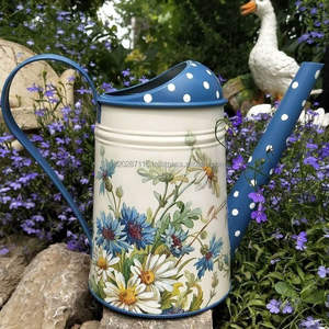 L'eau galvanisée vibrante d'art d'émail peut se perfectionner pour le soin de plantes d'intérieur de décor de jardin extérieur et l'embellissement rustique unique de maison - Product Image 6