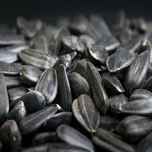 Graines de tournesol noires de haute qualité, 100% naturelles, séchées, grande taille, nouvelle récolte, vente en gros, sac tissé en plastique de 25 kg - Product Image 3