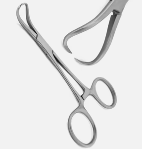 OFERTA ESPECIAL: Pinza para Toallas Quirúrgicas Veterinarias y Dentales GORAYA GERMAN Backhaus, Manual, de Acero Inoxidable, con Certificación CE e ISO, a Bajo Precio - Product Image 4