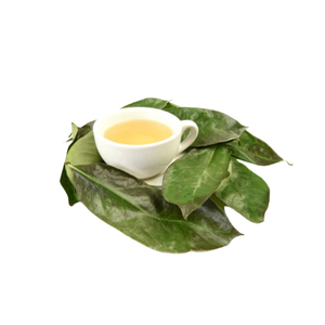 Dried Soursop Leaves Export Quality Manufacturer - Product Image 4
