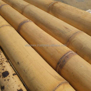 Vietnam <b>Bamboo</b> Poles Export Quality, Straight & Strong - Product Image 6