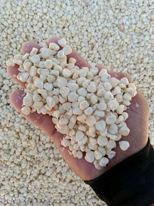 Excelente Opción, Semillas de Maíz Ceroso Orgánicas Secas de Alta Calidad a Precio Económico para Cocina Saludable, Cereales, Industria de Snacks, Exportación a Granel - Product Image 6
