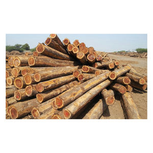 <b>Eco</b> friendly sustainable <b>log</b> wood timber for furniture construction industrial use wholesale exporter - Product Image 1
