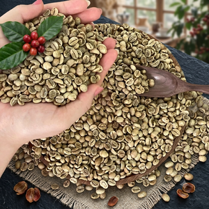 100% Café Verde Arábica G3 Puro de Vietnam, Granos Crudos Sin Tostar para Tostar, Bebidas, Tostadores, Venta al por Mayor, Exportación, Fábrica - Product Image 1