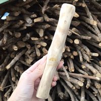 Jouet à mâcher pour chiens Hoang Linh SG en bois de café 100% naturel, fait main au Vietnam, très durable, brun naturel, pour le nettoyage des dents, en stock