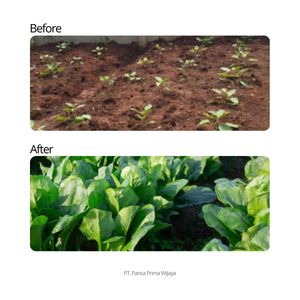 Engrais liquide organique de haute qualité pour légumes, stimulant de croissance des feuilles, acides aminés, acides humiques et fulviques, 500 ml - Product Image 4