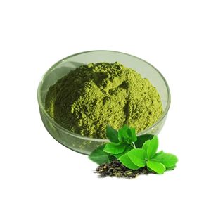 Té Matcha en Polvo Premium de Vietnam, Suministro al por Mayor - Product Image 3