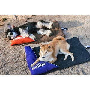 Cama de Viaje Deportiva para Perros, Ideal para Dueños de Mascotas en Movimiento - Product Image 5