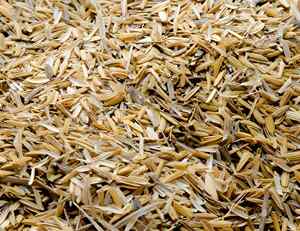 Coques de riz biologiques pour ameublissement du sol de potager, ingrédient naturel pour l'alimentation animale (bovins, porcs, chevaux) - Madhya Pradesh - Product Image 1