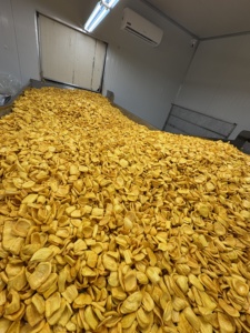 Chips de Jackfruit Frites Sous Vide de Qualité Export, Snack de Fruits Naturels Croustillants, Fournisseur en Gros - Product Image 5