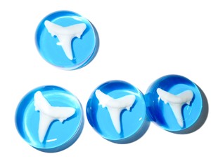 Dientes de Tiburón Artificiales Modernos de Plástico Cabujón, Redondos de 25x25 mm con Base Plana Azul Transparente para Manualidades y Joyería - Product Image 5