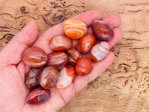 Piedra Preciosa de Cornalina Roja de Primera Calidad, 20-30 mm, Tallada, Feng Shui, Reiki, Mascota, Piedras Pulidas de Gujarat Aashim Agate - Product Image 5